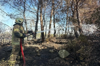 Urla'daki Yangına M&uuml;dahale S&uuml;r&uuml;yor