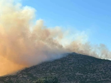 Uşak&rsquo;ta ormanlık alanda yangın
