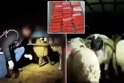 Uyuşturucu ka&ccedil;ak&ccedil;ılarından yeni y&ouml;ntem 