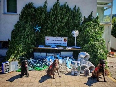 Uyuşturucu yetiştirene b&uuml;y&uuml;k darbe