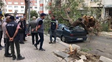 &Uuml;zerine ağa&ccedil; devrilen otomobil hurdaya d&ouml;nd&uuml;: O anlar kamerada
