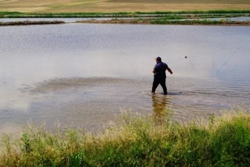 Uzmanından &ouml;nemli tavsiye: &rsquo;Mikrobiyal g&uuml;breleme ve lazerli tesviye ile verim arttırılabilir&rsquo;
