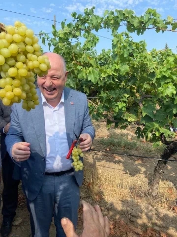 Vali Coşkun bağdan &uuml;z&uuml;m hasadı yaptı
