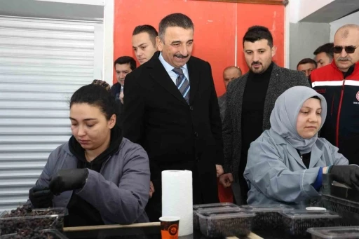 Vali Hacıbektaşoğlu, &Ouml;zbağı-Eveyikli K&ouml;yleri Tarımsal Kalkınma Kooperatifi&rsquo;ni ziyaret etti
