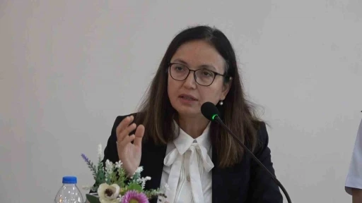 Vali Kaya, &ldquo;Hastane yolu en kısa zamanda yapılacak&rdquo;
