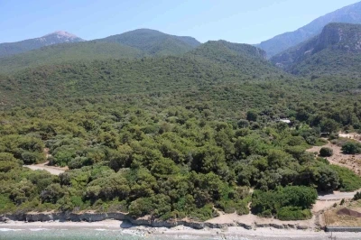 Valilik &ouml;nlem aldı, ormanlık alanlara girişler yasaklandı
