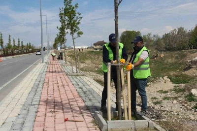 Van B&uuml;y&uuml;kşehir Belediyesinden sahil yolunda &ccedil;alışma
