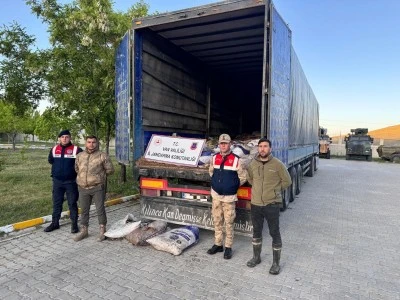 Van'da 19 ton &ouml;l&uuml; inci kefali ele ge&ccedil;irildi