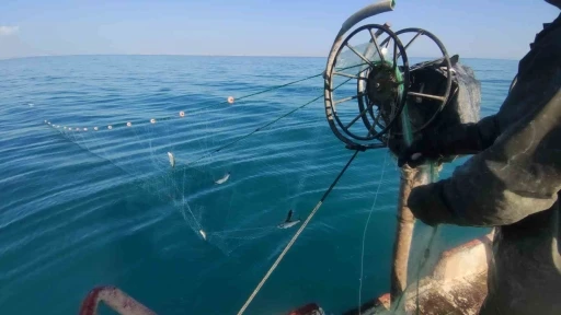 Van&rsquo;da balık&ccedil;ılar yeni sezondan umutlu