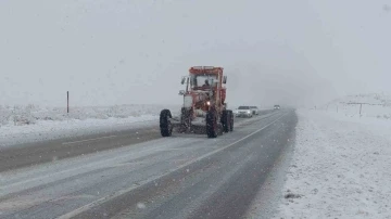 Van&rsquo;da kar yağışı
