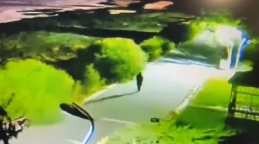 Kaybolan Rojin&rsquo;in son g&ouml;r&uuml;nt&uuml;leri ortaya &ccedil;ıktı