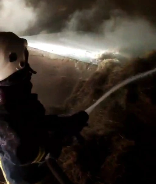 Van&rsquo;da samanlık yangını
