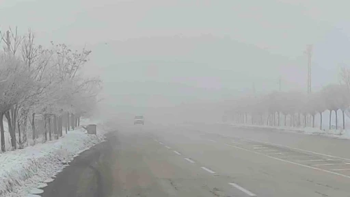 Van&rsquo;da sis ulaşımı olumsuz etkiledi
