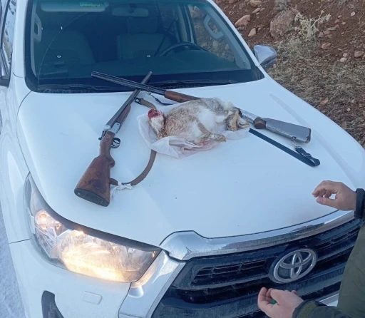 Van&rsquo;da yasadışı avlanan 2 şahsa 17 bin 294 lira idari para cezası uygulanacak
