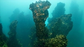 Van G&ouml;l&uuml;'ndeki mikrobiyalitlere şamandıralı koruma