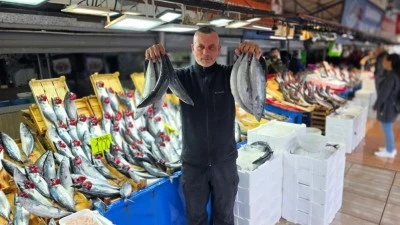 Vatandaş palamudu tane ile değil kasayla alıyor!