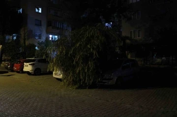 Vatandaşın dikkati devrilen ağa&ccedil;tan otomobilleri kurtardı
