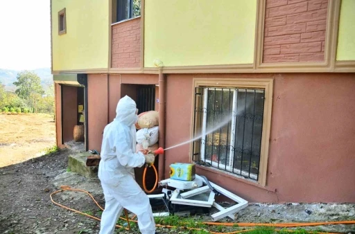 Vatandaşlar kokarcayla m&uuml;cadele başlattı, 550 ev ila&ccedil;landı
