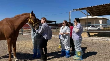 Veteriner adayları &ccedil;iftlik hayatını yakından tanıdı
