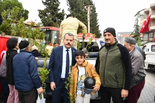 Vezirk&ouml;pr&uuml;&rsquo;de 5 bin fidan dağıtıldı
