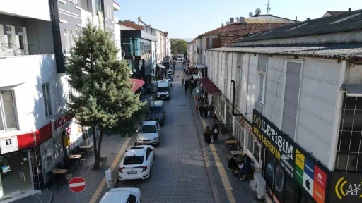 Vezirk&ouml;pr&uuml;&rsquo;de sokak sağlıklaştırma &ccedil;alışması
