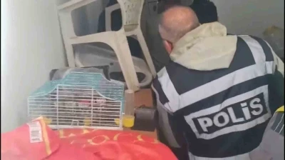 Yabancı turistlerin kredi kartlarını k&ouml;t&uuml; ama&ccedil;lı kullanan 4 ş&uuml;pheli yakalandı