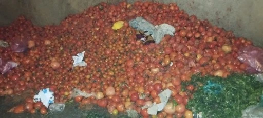 Yaklaşık 300 kilogram domatesi &ccedil;&ouml;pe attılar