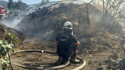 Yalova'da 3 farklı noktada &ccedil;ıkan yangın s&ouml;nd&uuml;r&uuml;ld&uuml;