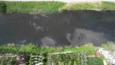 Yalova&rsquo;da Dereağzı mevkisinde kanalizasyon suyu denize aktı
