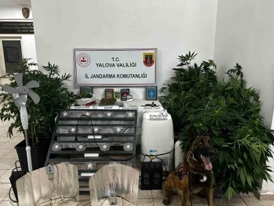 Yalova&rsquo;da evinde uyuşturucu yetiştiren ş&uuml;pheli tutuklandı

