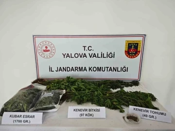 Yalova&rsquo;da kenevir yetiştirilen villaya operasyon: 1 tutuklama
