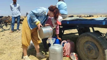 Yalova&rsquo;dan bisikletiyle Muş&rsquo;a gelen aktivist kadın, Berivanlarla birlikte koyun sağdı
