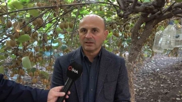 Yalova kivisi yurt dışı pazarına a&ccedil;ıldı
