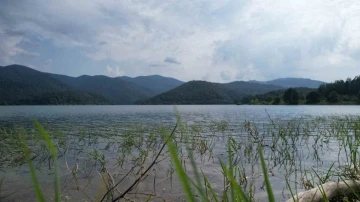 Yalova&rsquo;nın i&ccedil;me suyu barajındaki y&uuml;zde 88 doluluk sevindirdi
