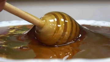 Yalova&rsquo;nın kestane balı coğrafi işaret sahibi oldu
