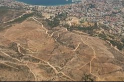 Yanan Alanlar Umuda D&ouml;n&uuml;ş&uuml;yor