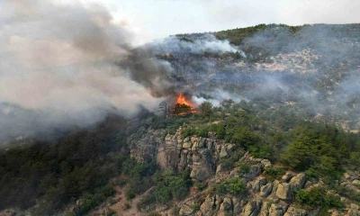 Yangın b&ouml;lgesi havadan g&ouml;r&uuml;nt&uuml;lendi