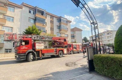 Yangında duygulandıran kurtarma: Anne kedi ve 2 yavrusu hayata d&ouml;nd&uuml;r&uuml;ld&uuml;