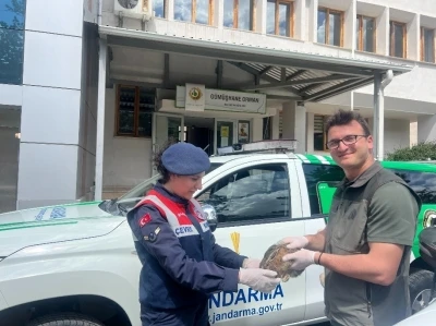 Yaralı tavşan jandarmanın şefkat eliyle doğaya d&ouml;nd&uuml;
