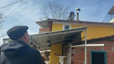 Yaren leyleğin eşi Bursa'daki yuvasına geldi