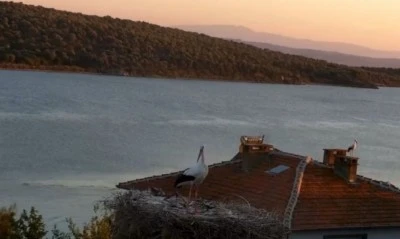 Yaren Leylek depremi &ouml;nceden hissetti