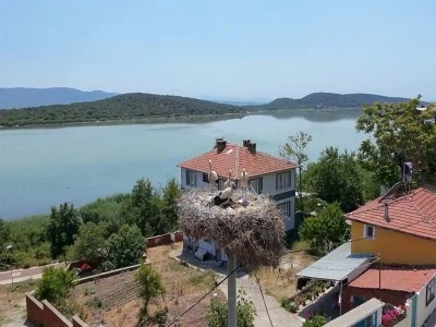 Yaren Leylek&rsquo;in 2 yavrusu g&ouml;&ccedil; yolunda; 1'i Mısır'a diğeri Batı Şeria'ya ulaştı