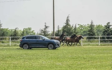 Yarış atları koşarken, başkan da Togg ile hız yaptı