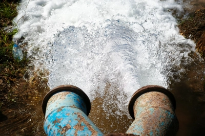 Yasağa Rağmen Mısır Ekimi 15 Milyar TL&rsquo;lik Kayba Yol A&ccedil;tı