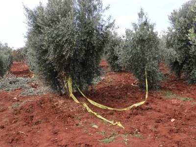 Yaşlı &ccedil;ift&ccedil;i trakt&ouml;rden d&uuml;şerek hayatını kaybetti