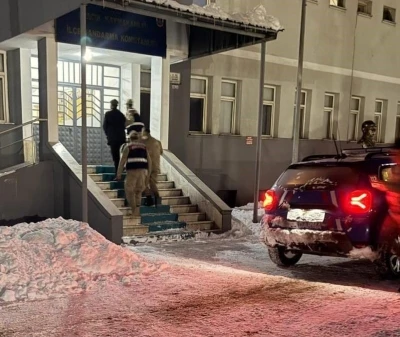  Yavru k&ouml;peğe eziyet eden şahıs tutuklandı