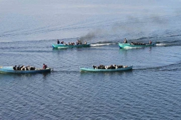 Yavrulama d&ouml;nemi gelen ke&ccedil;ilerin tekne yolculuğu
