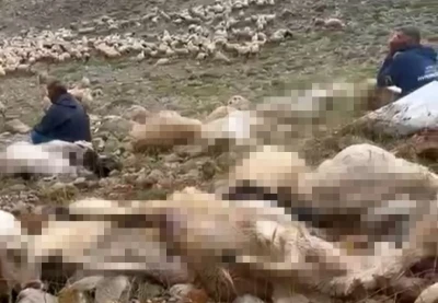 Yaylaya yıldırım d&uuml;şt&uuml;; 200 k&uuml;&ccedil;&uuml;kbaş &ouml;ld&uuml;