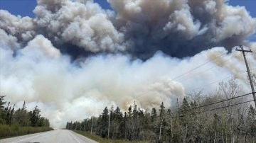 Yaz d&ouml;nemindeki aşırı doğa olayları, kuzey yarım k&uuml;rede sağlığa ve &ccedil;evreye b&uuml;y&uuml;k zarar verdi
