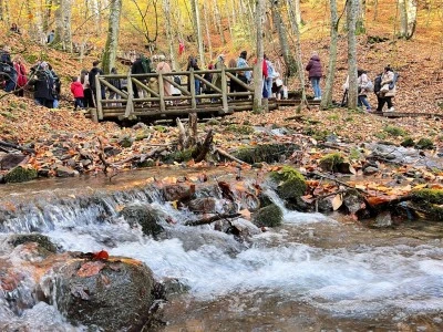 Yedig&ouml;ller Milli Parkı, ziyaret&ccedil;i akınına uğradı